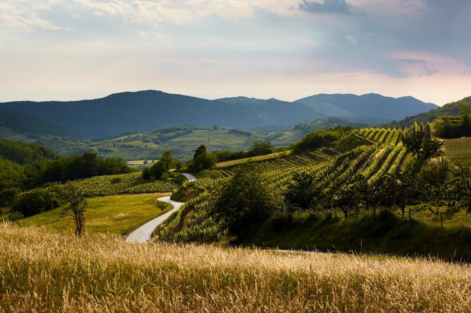 Fine Rooms Vipava Exterior foto